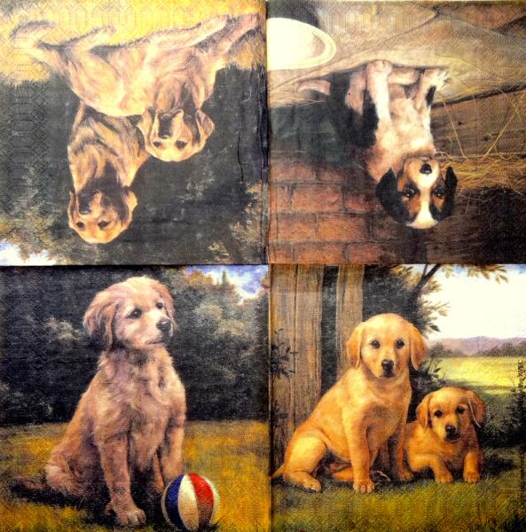 103 Dogs - 3-ply - Avec